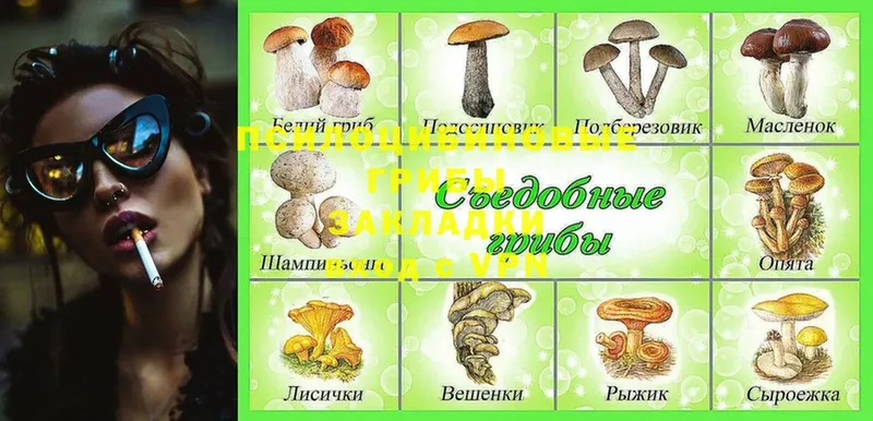 NBOMe Людиново